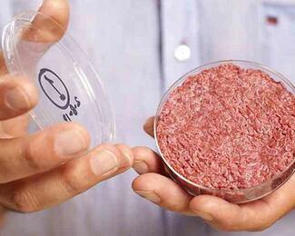 Синтетическое мясо или бургер с медузой: какой станет еда через 35 лет?