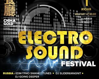 Electro Sound festival в  China gold