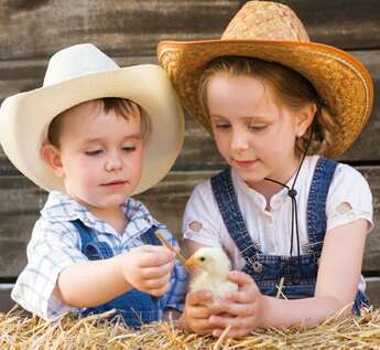 День на семейной ферме