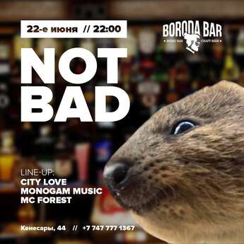 ​Вечеринка Not Bad в Boroda bar