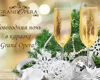  НОВОГОДНЯЯ НОЧЬ 31 Декабря в караоке-холл Grand Opera!