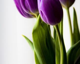 INTERNATIONAL WOMEN’S DAY в AVENUE!