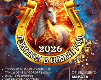 Галопом в Новый год вместе с «Домом Приемов» на Мира 