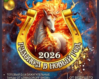Галопом в Новый год вместе с «Домом Приемов» на Мира 