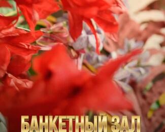 На праздники и торжества в банкетный зал DoReMi